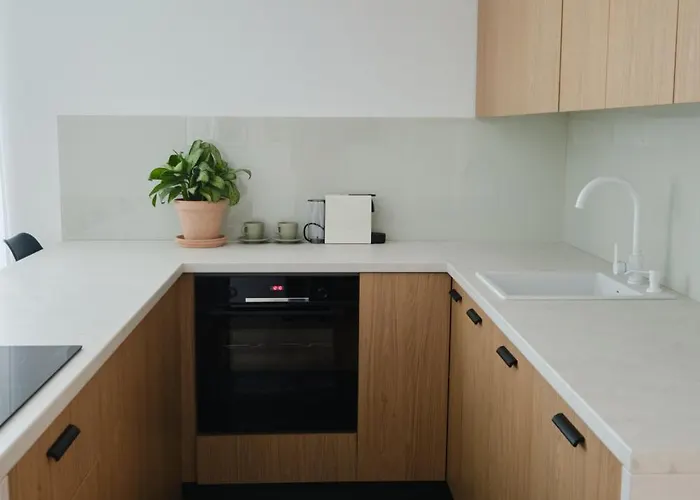 Apartment Brown I One Bedroom I One Cotroceni Park *