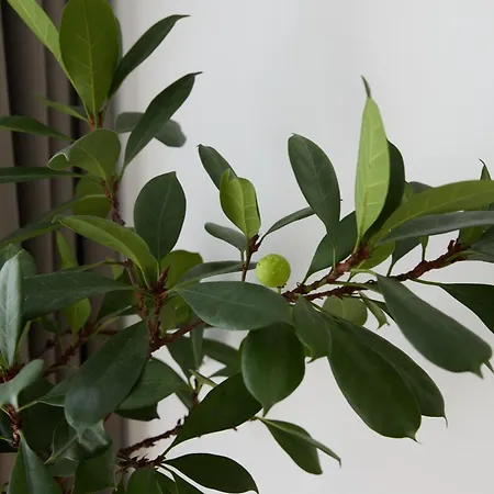 Brown I One Bedroom I One Cotroceni Park