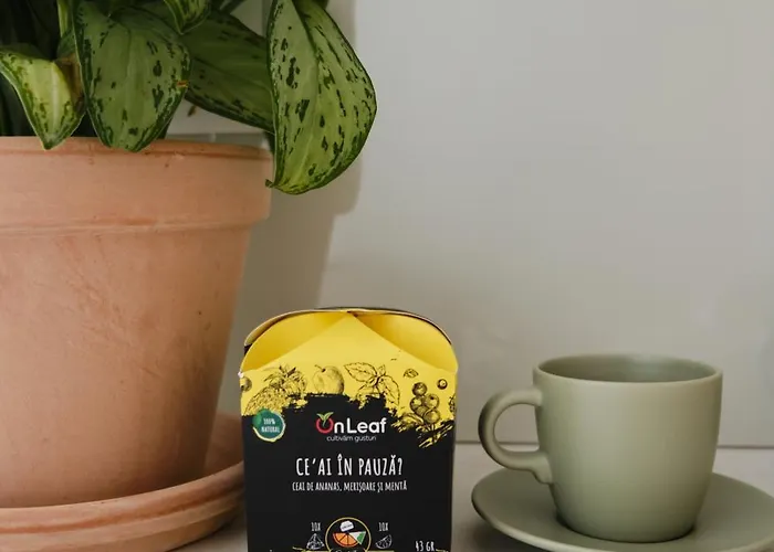 Brown I One Bedroom I One Cotroceni Park Lejlighed